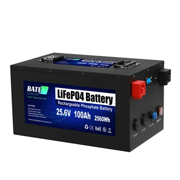 Нова Батерия Lifepo4 капацитет от 100 ah с 2 USB-порта 24 На 100 Ah, удобни за зареждане на акумулаторна батерия 100 Ah за телефон и лаптоп